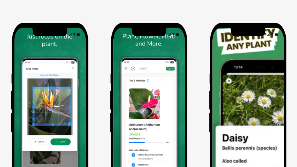 식물이름찾기 모바일