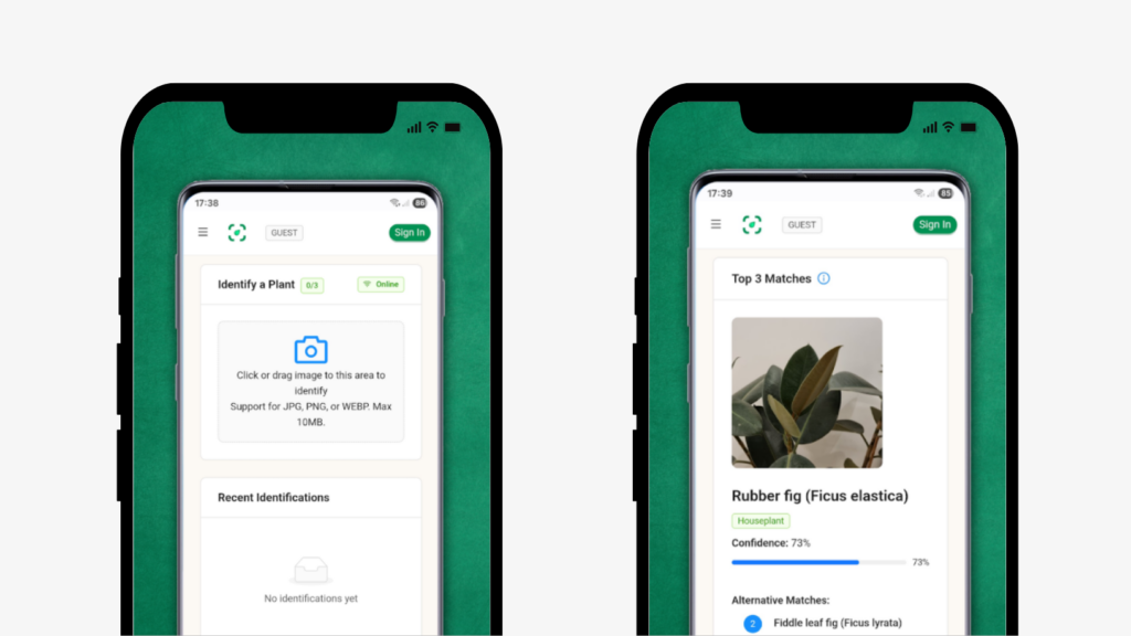 식물이름찾기 모바일
